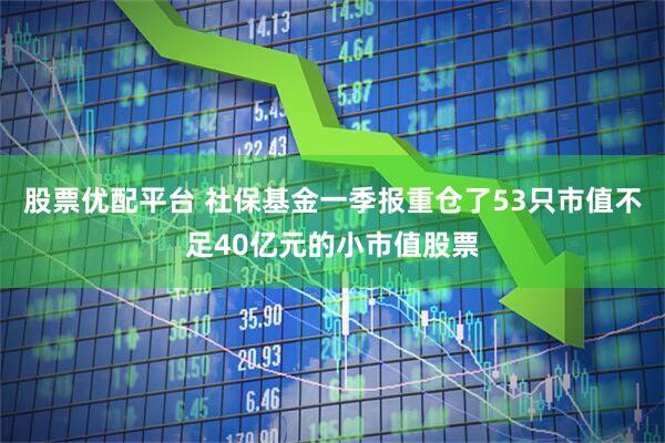股票优配平台 社保基金一季报重仓了53只市值不足40亿元的小市值股票