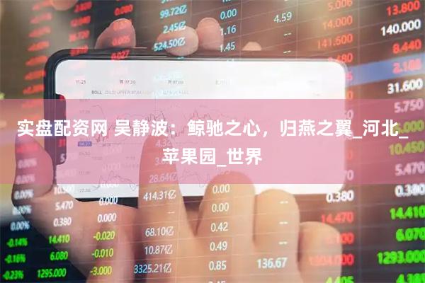实盘配资网 吴静波：鲸驰之心，归燕之翼_河北_苹果园_世界