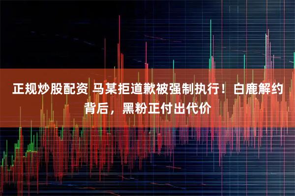 正规炒股配资 马某拒道歉被强制执行！白鹿解约背后，黑粉正付出代价